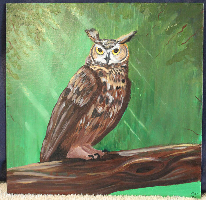 horned owl 12x12 panel -$35