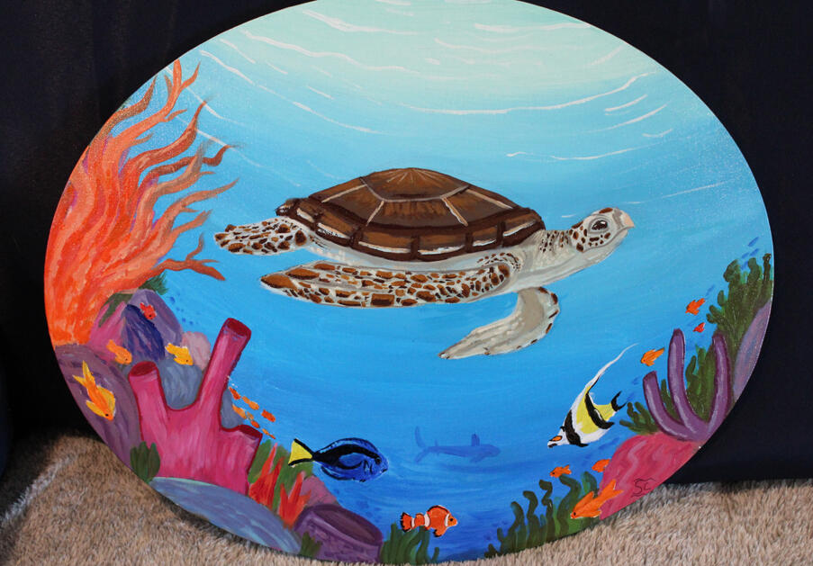 Turtle 16x20 traditional canvas -$55