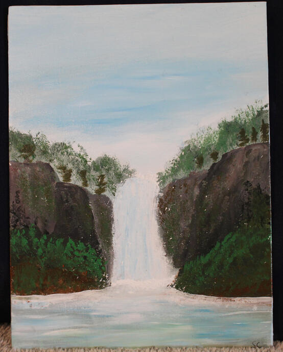 waterfall 8x11 panel -$20