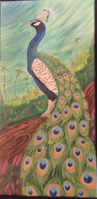 peacock (click to expand) 12x24 traditional canvas -$60