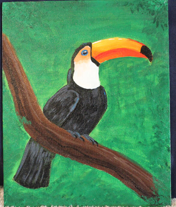 toucan Panel 8x11 -$30